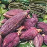 PANCs que você precisa conhecer