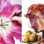 Pinturas em aquarela recriam perfeitamente a beleza da natureza
