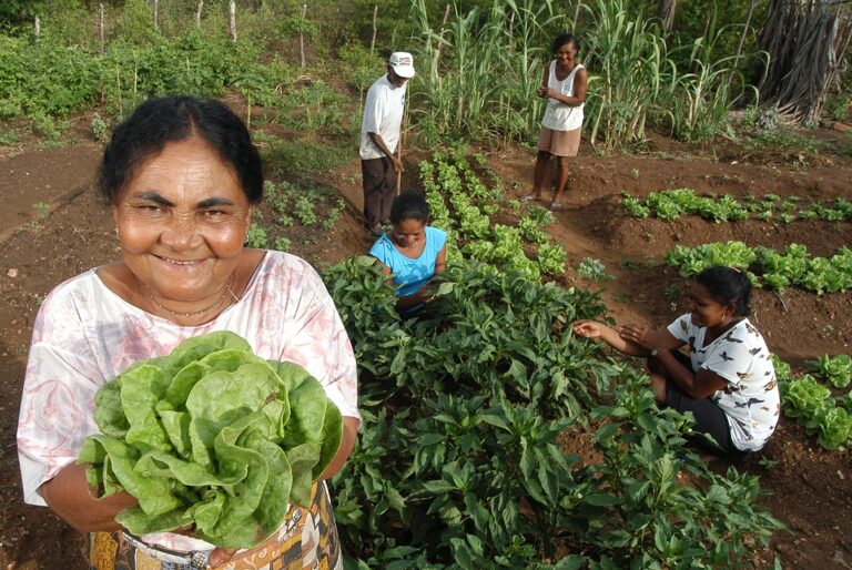 No Tocantins, mulheres quilombolas se destacam com produção agrícola sustentável