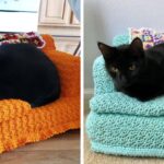 As pessoas estão fazendo pequenos sofás de croche para seus felinos