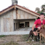 Voluntários constroem Cãodomínio para animais de rua