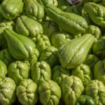 Chuchu: saiba mais sobre esse legume refrescante