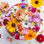Conheça algumas flores comestíveis para incrementar as suas refeições