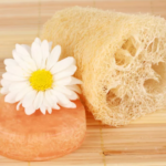 Sabia que você pode cultivar as suas esponjas vegetais? 🥰