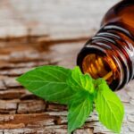 Óleos essenciais para o inverno: resfriados, gripes, cansaço…