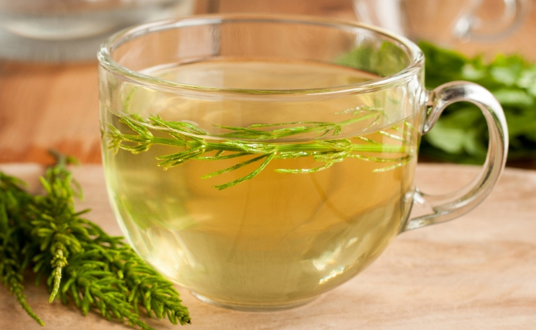 Chá de cavalinha: conheça esse chá milagroso