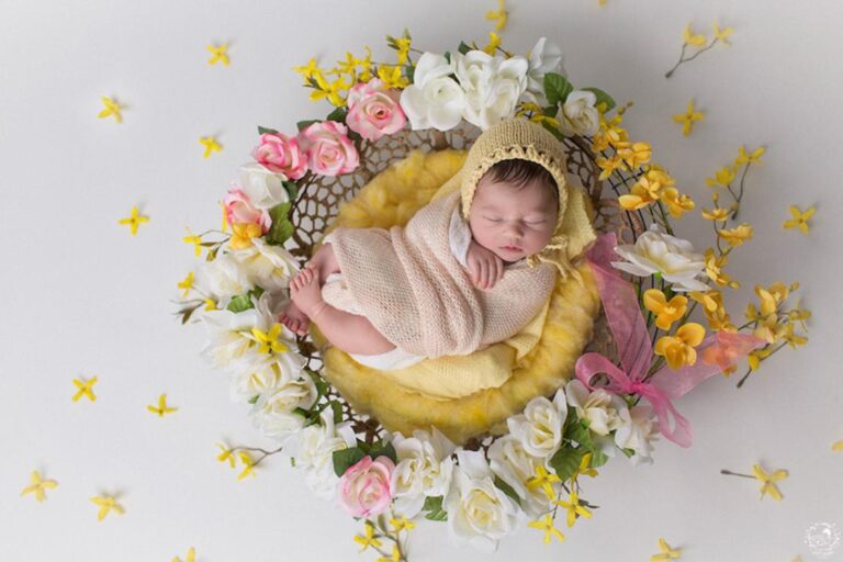 Fotos de bebês em mandalas naturais