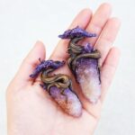 Acessórios inspirados em florestas mágicas