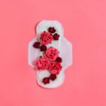 Absorventes menstruais