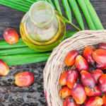 Óleo de palma usado na cozinha e nos cuidados cosméticos tem impactos ambientais