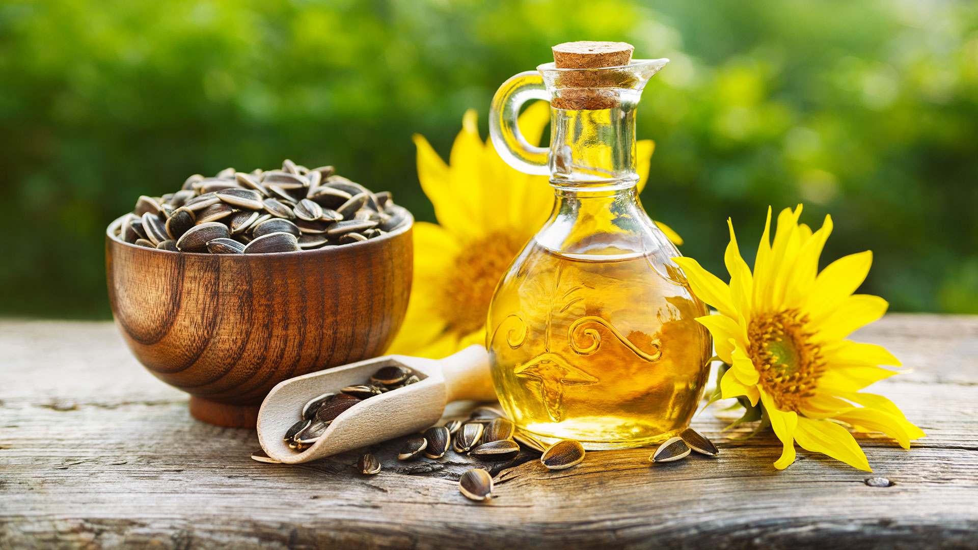 Óleo de girassol: descubra o que essa gordura vegetal pode fazer por você