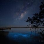 Fotógrafo captura a Via Láctea e as águas bioluminescentes juntas em cenas cintilantes