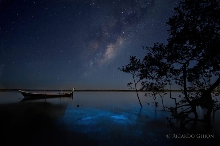 Fotógrafo captura a Via Láctea e as águas bioluminescentes juntas em cenas cintilantes