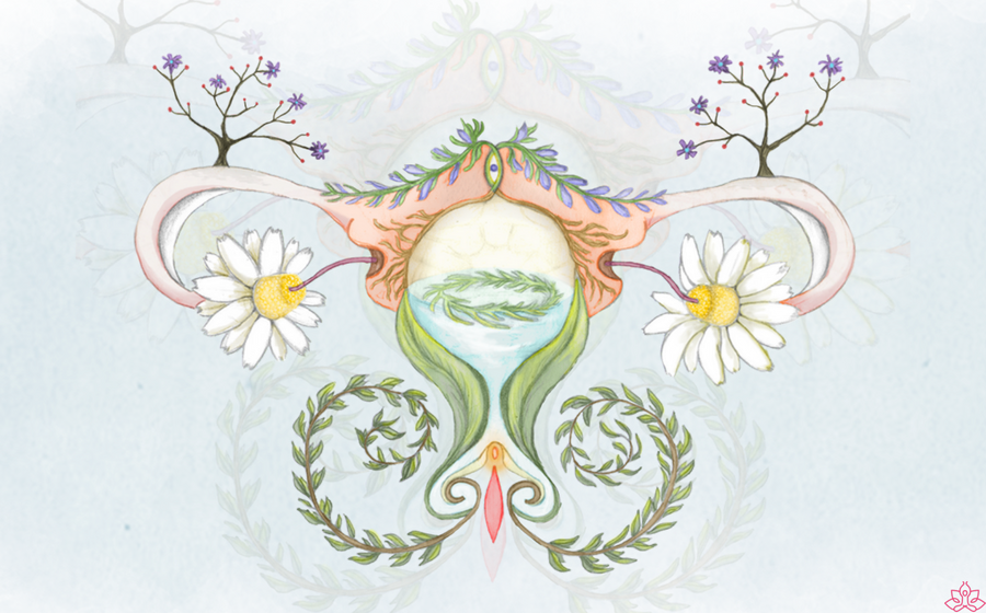 Você Sabe o que é Assoalho Pélvico?