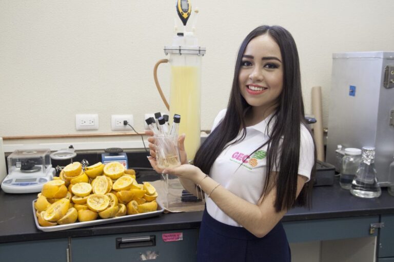 Mexicana cria plástico de casca de laranja que se decompõe em 90 dias