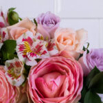 Florista dá dicas de como cuidar das flores e plantas em casa