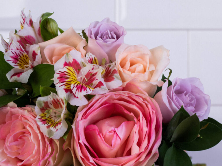 Florista dá dicas de como cuidar das flores e plantas em casa