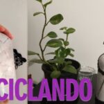 Poeira de Estrelas – Reciclando Garrafa de Vinho