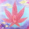 A cannabis na saúde sexual feminina