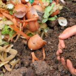 Compostagem, o que é e como fazer em casa