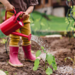 Jardinagem é bom para as crianças e as ensina a desenvolver paciência, responsabilidade e bondade