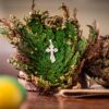 Rosa de Jericó: a Planta da Ressurreição