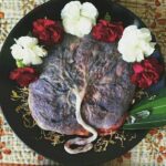 Medicina ancestral com a Placenta