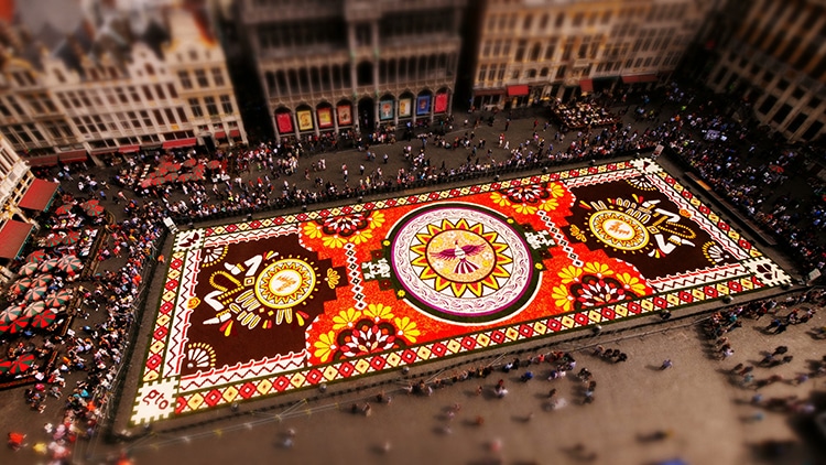Cineasta captura incrível enorme tapete de flores em Bruxelas