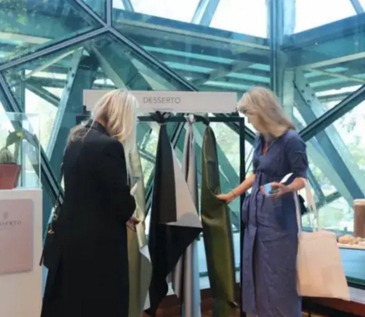 Mexicanos criam couro a partir de cactos