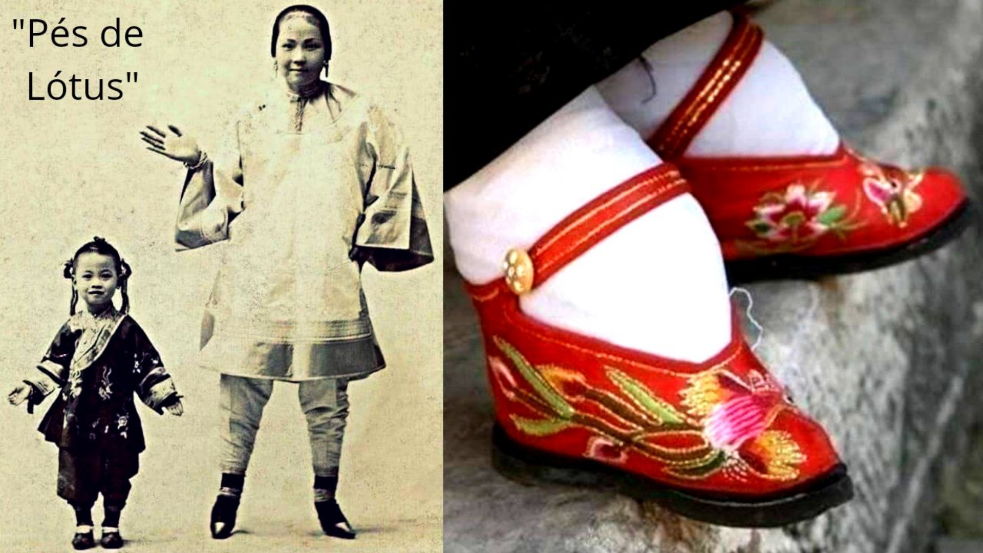 Pés de Lótus