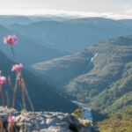Montanhas, rios, cachoeiras, fauna e flora exuberantes: as belezas do Guartelá, o maior cânion do Brasil
