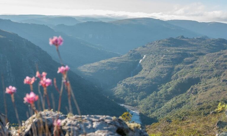Montanhas, rios, cachoeiras, fauna e flora exuberantes: as belezas do Guartelá, o maior cânion do Brasil