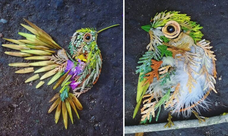 Artista procura itens na floresta para criar retratos efêmeros de pássaros