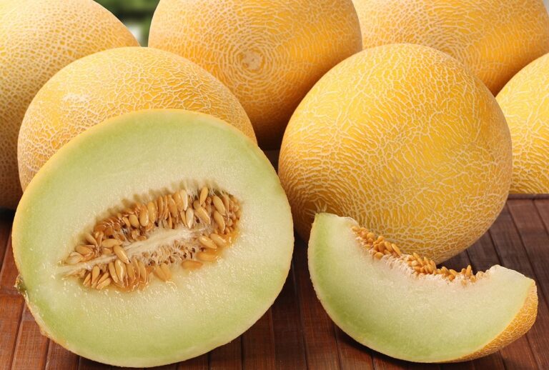 Sementes e casca de melão: não as jogue fora! Veja receitas incríveis