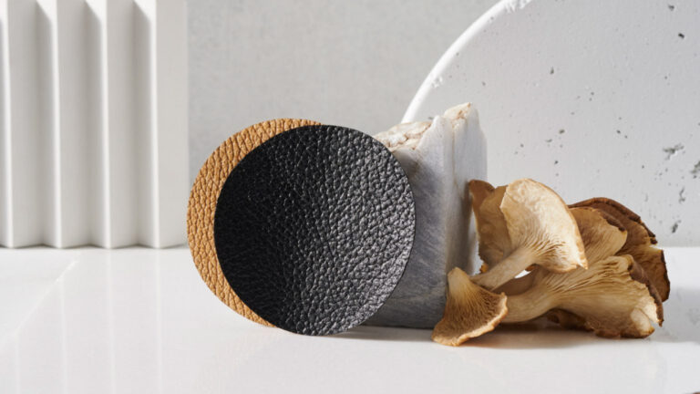 Couro de cogumelo: marcas investem na produção de tecido sustentável