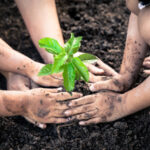 Micróbios antidepressivos no solo: como a terra pode fazer seu cérebro feliz