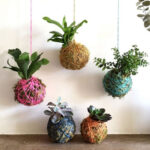 Já ouviu falar em kokedama? Aprenda essa linda técnica japonesa para plantas