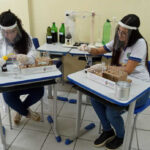 Estudantes de Pernambuco criam repelente com canela e hortelã para combater mosquito-da-dengue