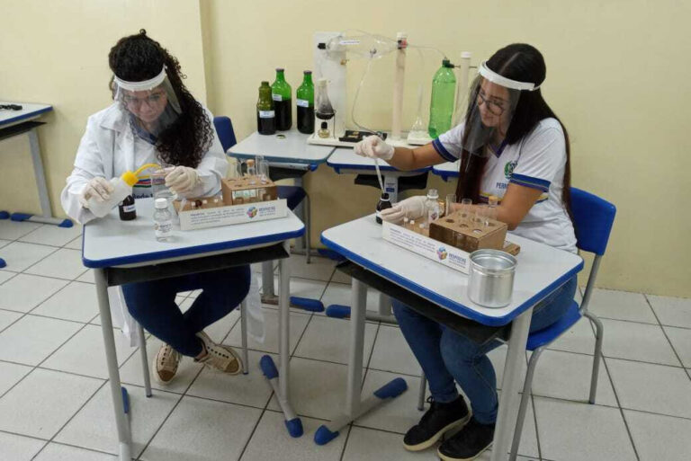 Estudantes de Pernambuco criam repelente com canela e hortelã para combater mosquito-da-dengue