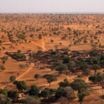 Cientistas descobrem floresta no meio do deserto do Saara