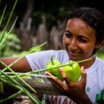 Produzindo alimentos no quintal, moradora do Piauí vira referência gastronômica