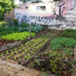 Sesc lança série de vídeos sobre permacultura