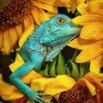 As melhores fotos do concurso Animals2020 para iluminar o seu dia