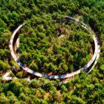 Ciclovia em meio à floresta na Bélgica propõe um encontro com a natureza
