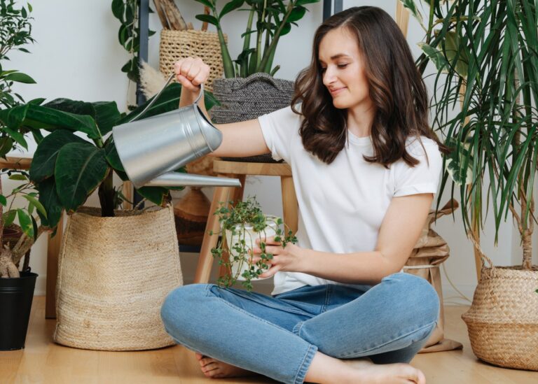 Plantas para ter em casa que podem melhorar seu humor e sua saúde