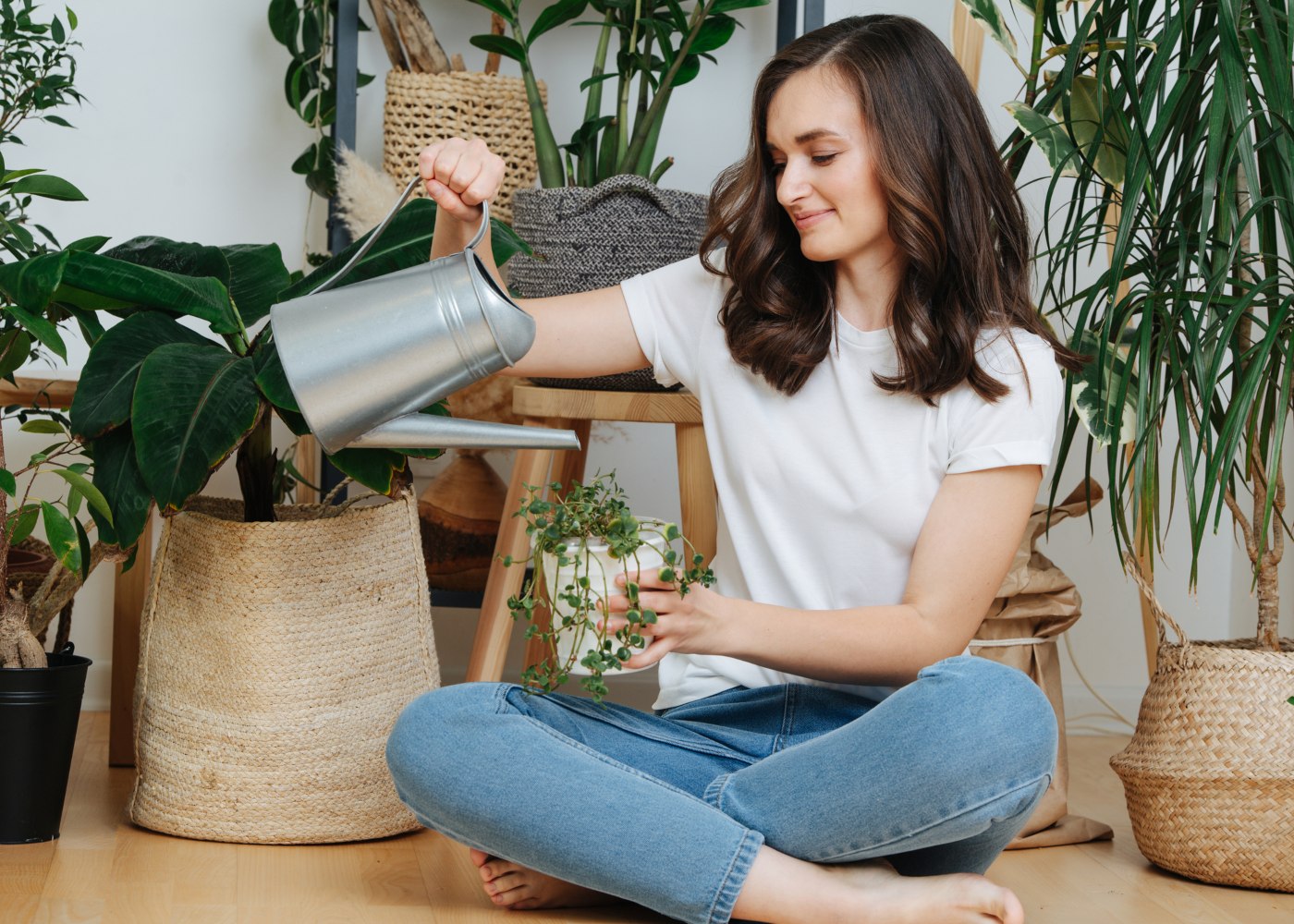 Plantas para ter em casa que podem melhorar seu humor e sua saúde