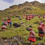 Comunidades indígenas estão reflorestando os Andes
