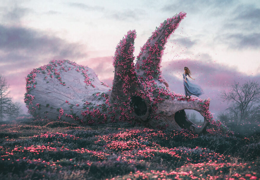 Artistas se unem para criar arte e arrecadar dinheiro para organizações sem fins lucrativos