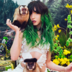 Veja este ensaio inspirador com animais resgatados do mercado-negro