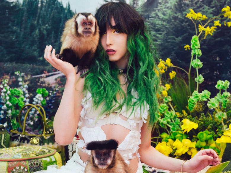 Veja este ensaio inspirador com animais resgatados do mercado-negro